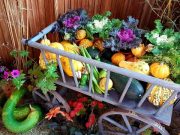 Leiterwagen mit Kohl und Früchten zum Entredank