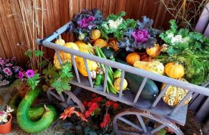 Leiterwagen mit Kohl und Früchten zum Entredank