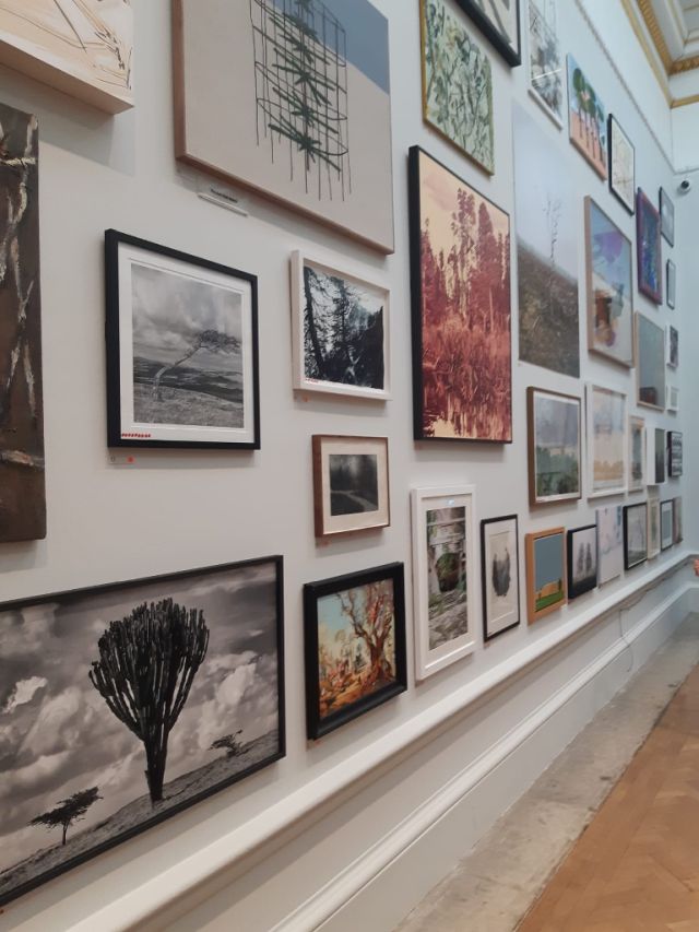 Galerie Summer Exhibition Bilder an der Wand
