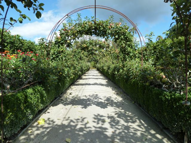 Pflanzenallee in Heligan Gardens mit bewachsenem Bogen