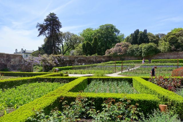 Walled Gardens in Heligan Garden mit Hecken umrandete Beete