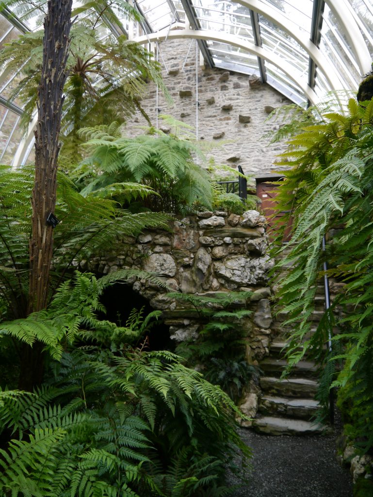 Farn Wintergarten mit Treppe und Grotte Benmore Botanic Gardens