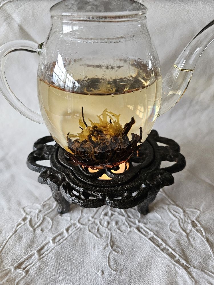 Teekanne aus glas mit Teeblüte Teeaufguss Erblühtee