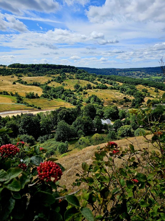 Hügellandschaft in Cotswold