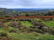 Dartmoor Moorlandschaft Witch Walk