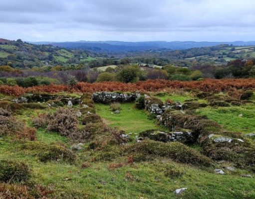 Dartmoor Moorlandschaft Witch Walk