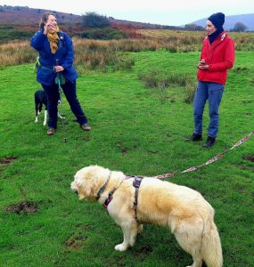 Dartmoor's Daughter Emma und Sieglinde Fiala beim Witch Walk