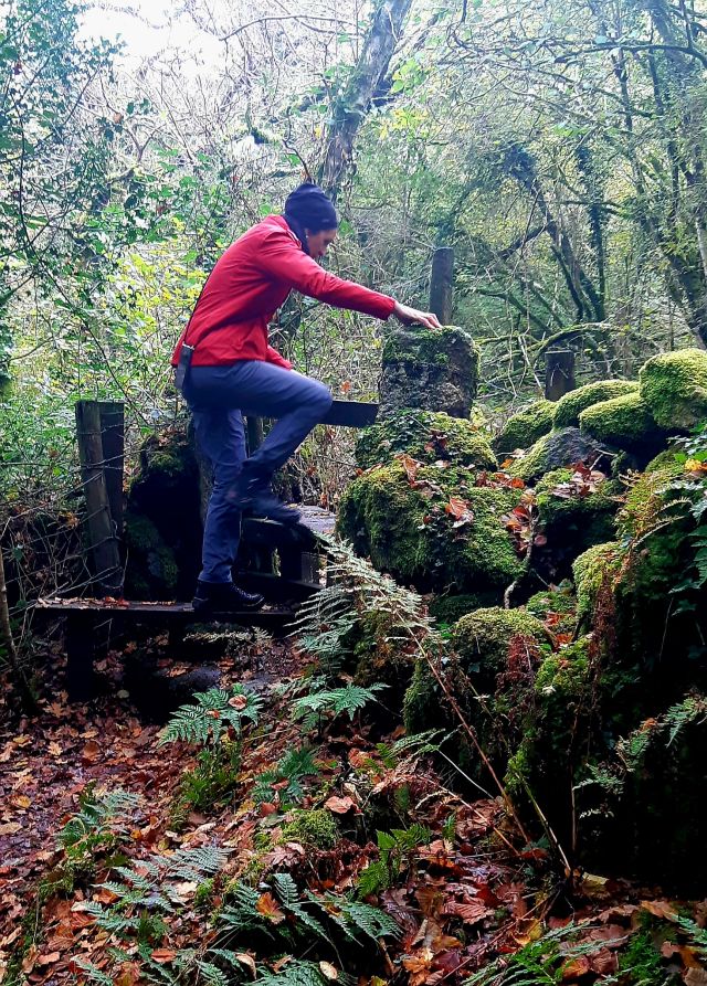 Wandern in Dartmoor Übersteigen eines Stiles 