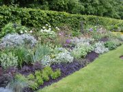 Die Erfindung des Frühlings – wie die britische Gartenkultur entstand Blumenbeet in blau Tönen