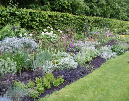 Blumenbeet in blau Tönen