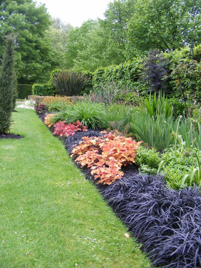 Blumenbeet farblich abgestimmt Regent Park