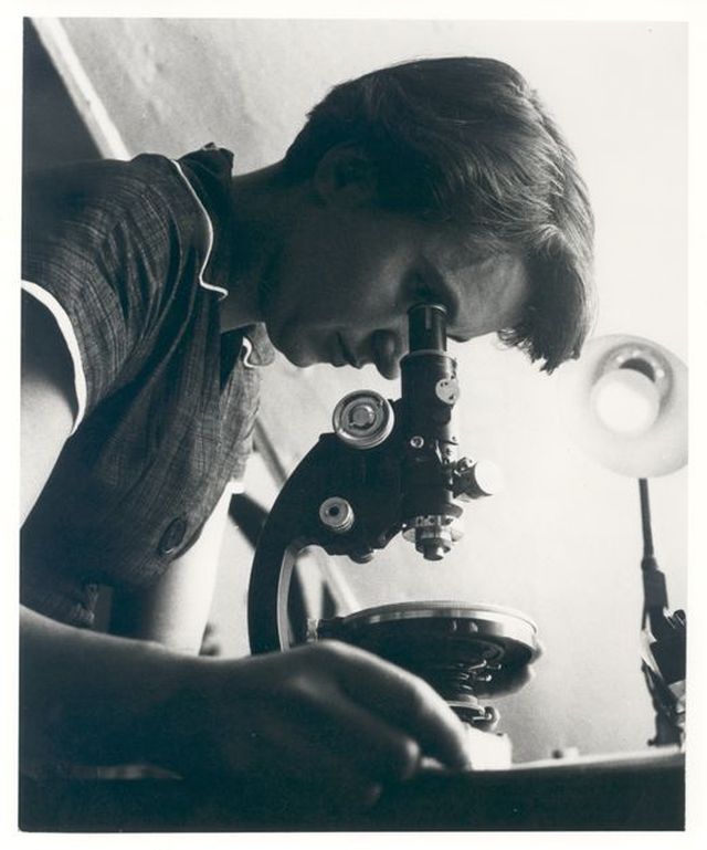 Rosalind Franklin über dem Mikroskop