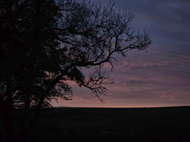 Dämmerung in Dartmoor