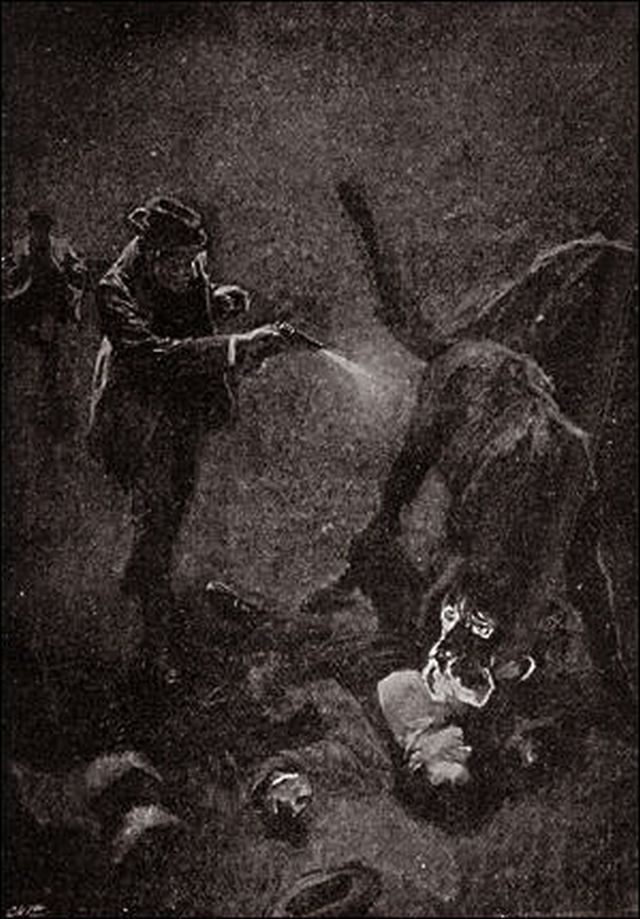 Hound of Baskerville