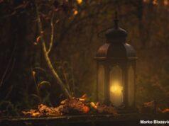 Laterne im Nebelwald