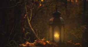 Dartmoor Gothic – Wo Nebel, Geister und Literatur aufeinandertreffen Laterne im Nebelwald