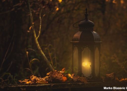 Dartmoor Gothic – Wo Nebel, Geister und Literatur aufeinandertreffen Laterne im Nebelwald
